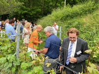 Senat der Wirtschaft, Weinblütenfest am Senatsweinberg in Burrweiler