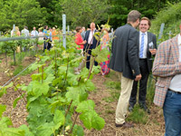 Senat der Wirtschaft, Weinblütenfest am Senatsweinberg in Burrweiler