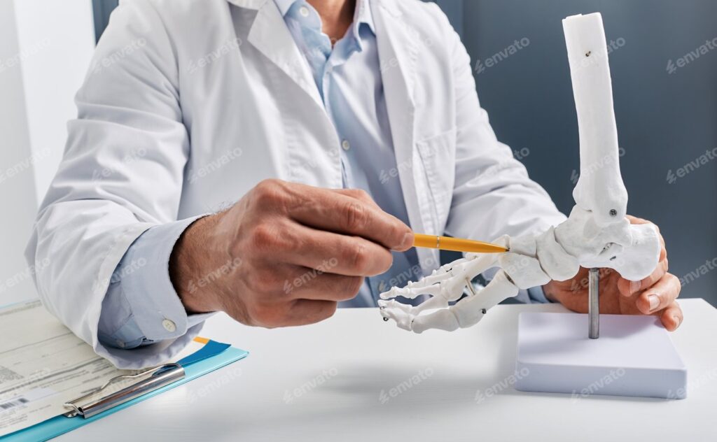 Arzt demonstriert die Auswirkungen einer Peroneuslähmung mit einem anatomischen Fußmodell