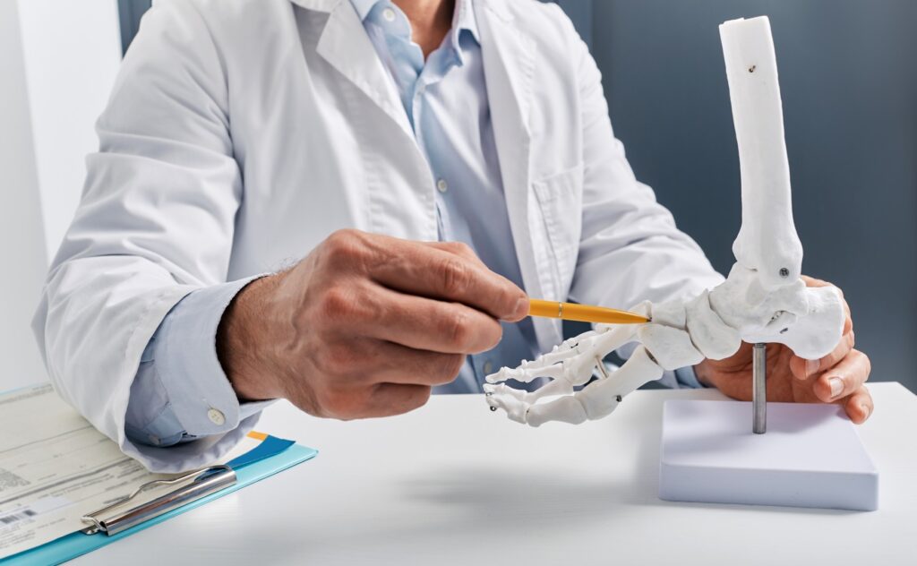 Peroneuslähmung am anatomischen Fußmodell gezeigt